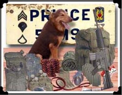 Typical Combat Load Vietnam Era Scout Dog Handler