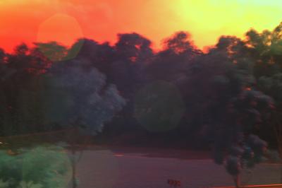 World on Fire.jpg