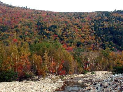 Hillside Ablaze - Bretton Woods NH