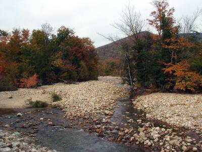 the Granite State - Bretton Woods NH