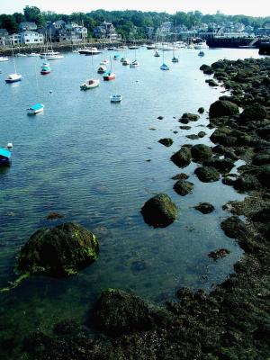 u49/dellybean/medium/40945109.HarborRockportMA.jpg
