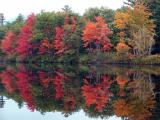Chocorua Lake, NH: Firey Reflection