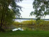 River View.jpg