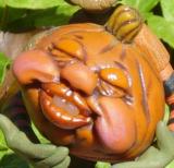 sweet pumpkin detail