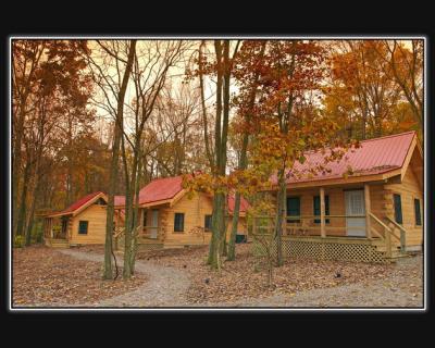 New_Cabins
