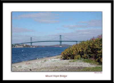framed Mt Hope Bridge.jpg