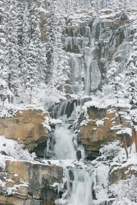 Jasper-Tangle Creek Falls2w.jpg