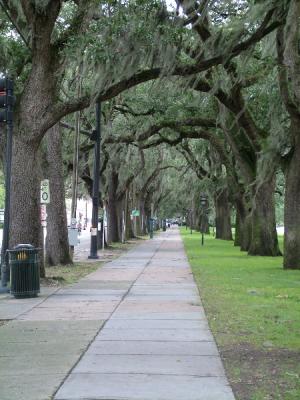 DSCF0410.JPG