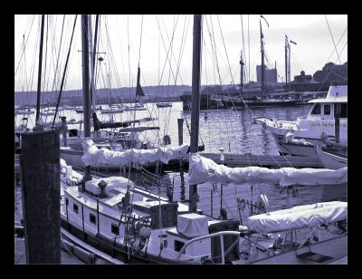 Black and White Conversion