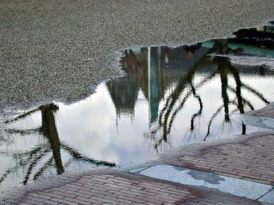 Reflection of the Rijksmuseum