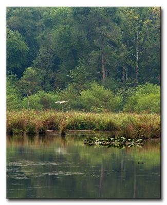 DSC_2166a800.jpg