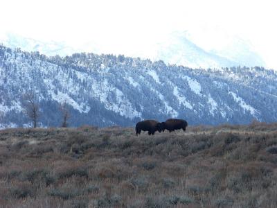 Grand Teton