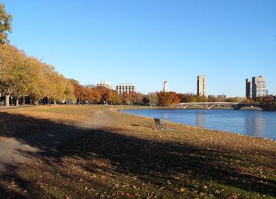 P1000163.jpg