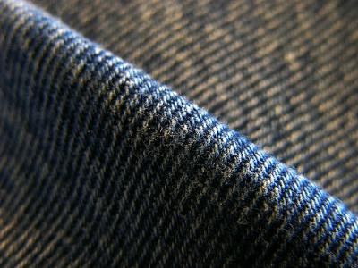 P1000255.jpg