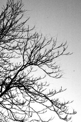 November mood       November 13