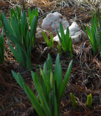 Life and Death   March 19