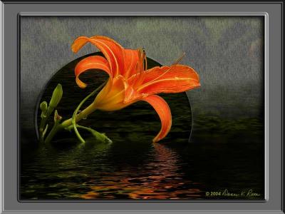 Day Lily Flood ~ created 11/30/04