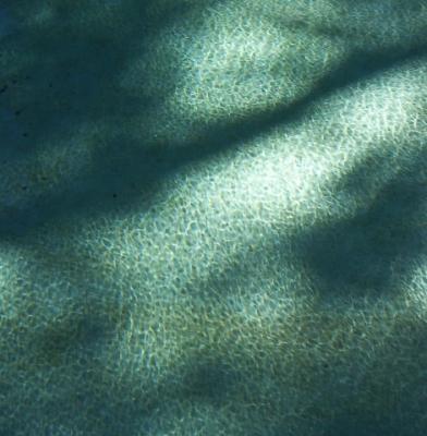 water.jpg