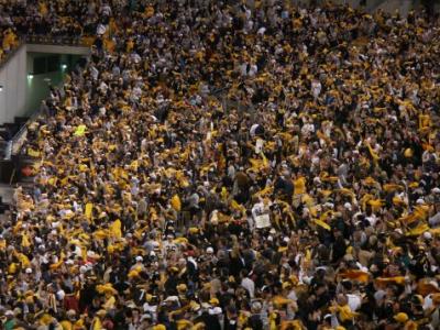 Waving the Terrible Towels