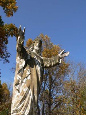 P1000057.jpg