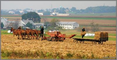 Amish country 9 pc.jpg