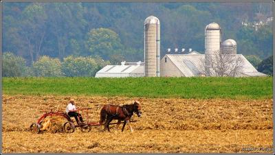 Amish country 10 pc.jpg