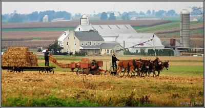Amish country 11 pc.jpg