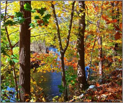 Trailside fall 1 pc.jpg