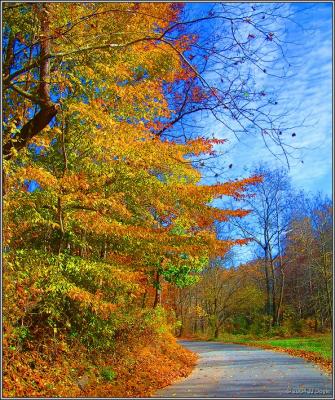 Trailside fall 3 pc.jpg
