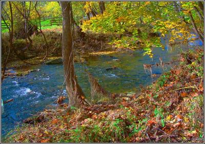 Trailside fall 4 pc.jpg