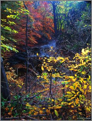 Trailside fall 5a pc.jpg