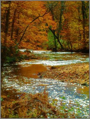 Trailside fall 11 pc.jpg