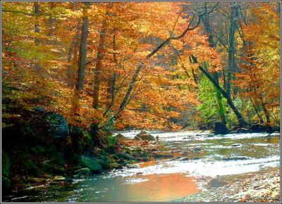 Trailside fall 13 pc.jpg