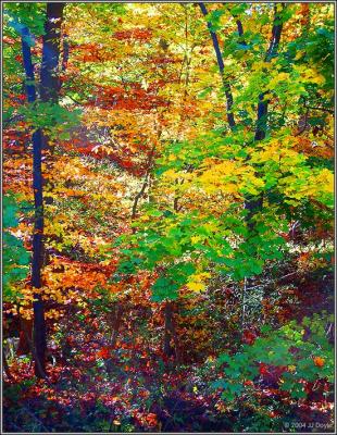 Trailside fall 17 pc.jpg