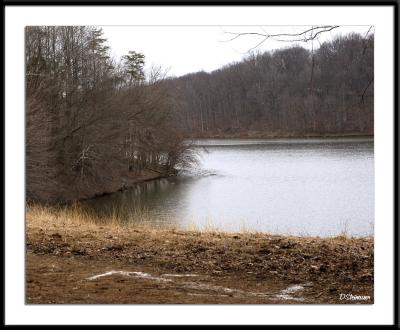 ds20050313_0247a3wF Lake Needwood.jpg