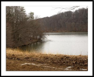 ds20050313_0247a1wF Lake Needwood.jpg