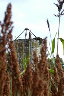 Silo1.jpg