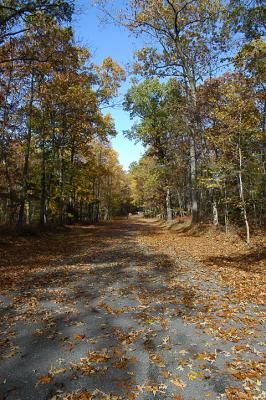 Autumn at the Rankokas Indian Reservation