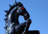 The Stallion