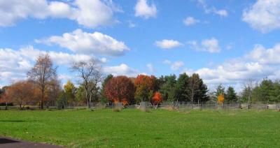 u49/dw_thomas/medium/35975104.11_766_Fields_PWF.jpg