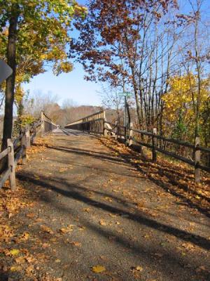 Bridge View