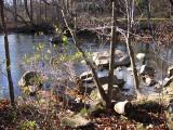 Rocks in the Perkiomen