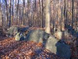 On Spring Mountain