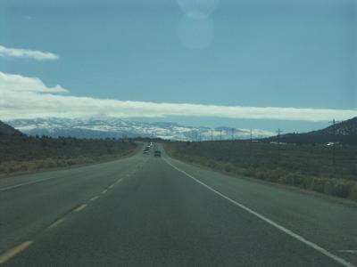 u49/dwinge/medium/35638808.nv3.jpg