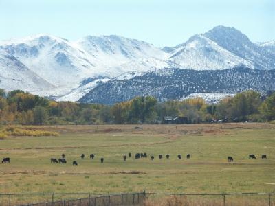 Carson Valley