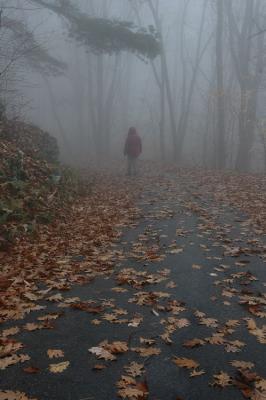 10/29/04 - More Misty, Rainy Fall Colors