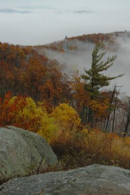 10/29/04 - More Misty, Rainy Fall Colors