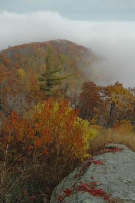 10/29/04 - More Misty, Rainy Fall Colors