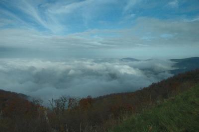 10/29/04 - More Misty, Rainy Fall Colors