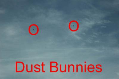 11/10/04 - CCD Dust Bunnies